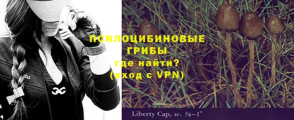 прущая мука Алзамай